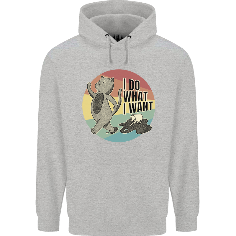 Cat I Do What I Want Funny Coffee Childrens Kids Hoodie Sports Grey