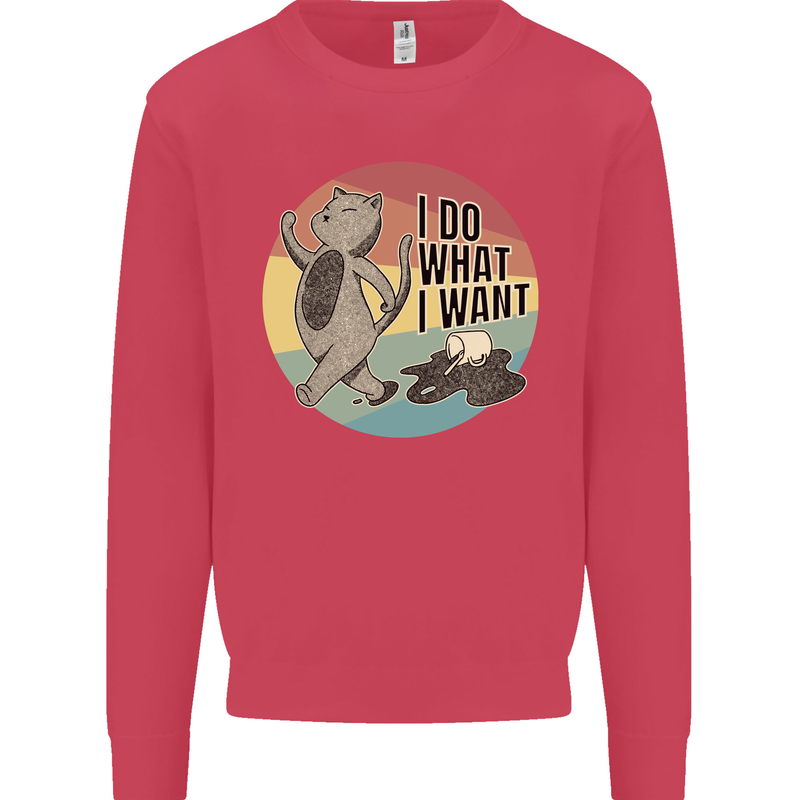 Cat I Do What I Want Funny Coffee Kids Sweatshirt Jumper Heliconia