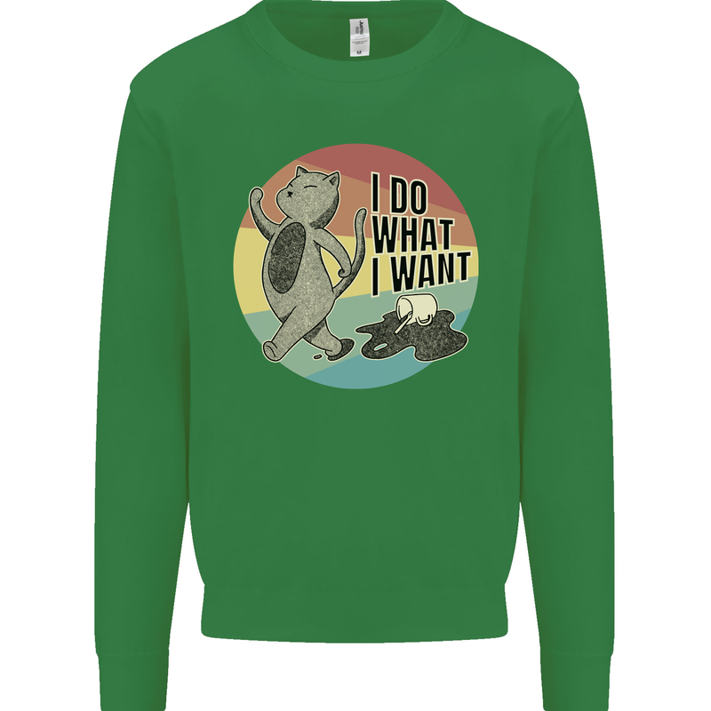 Cat I Do What I Want Funny Coffee Kids Sweatshirt Jumper Irish Green
