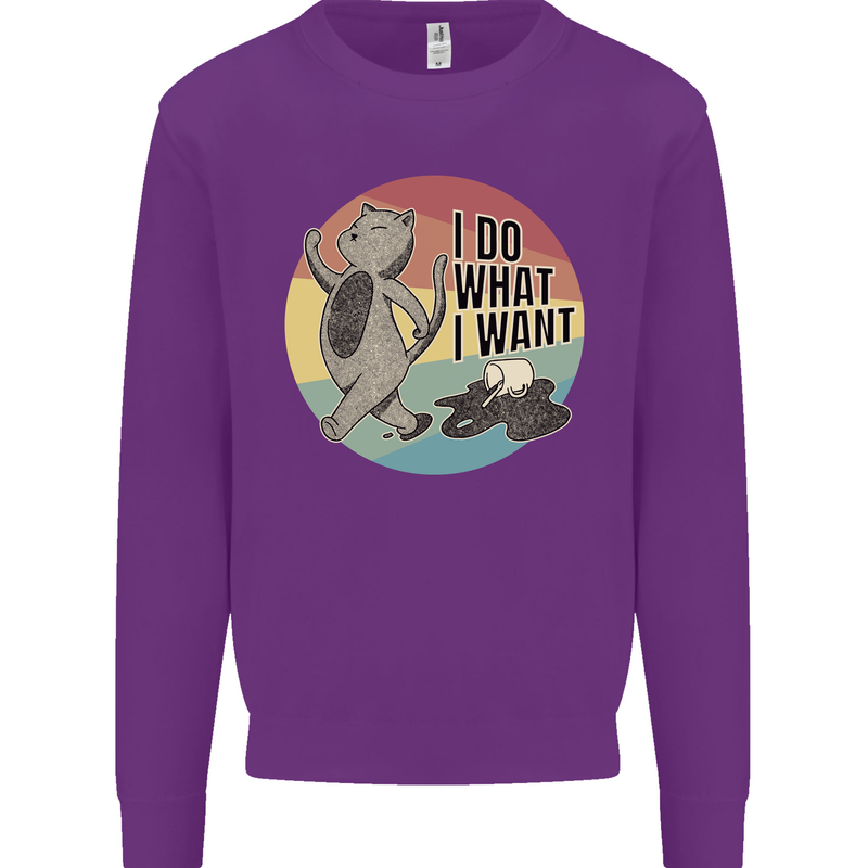 Cat I Do What I Want Funny Coffee Kids Sweatshirt Jumper Purple