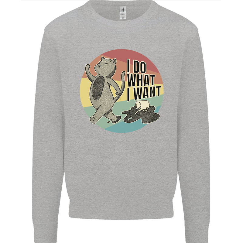 Cat I Do What I Want Funny Coffee Kids Sweatshirt Jumper Sports Grey