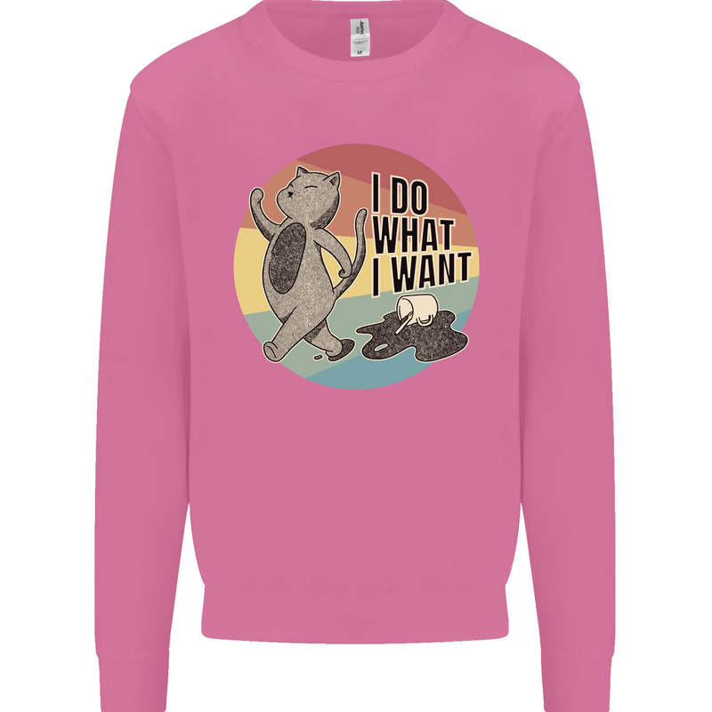 Cat I Do What I Want Funny Coffee Mens Sweatshirt Jumper Azalea