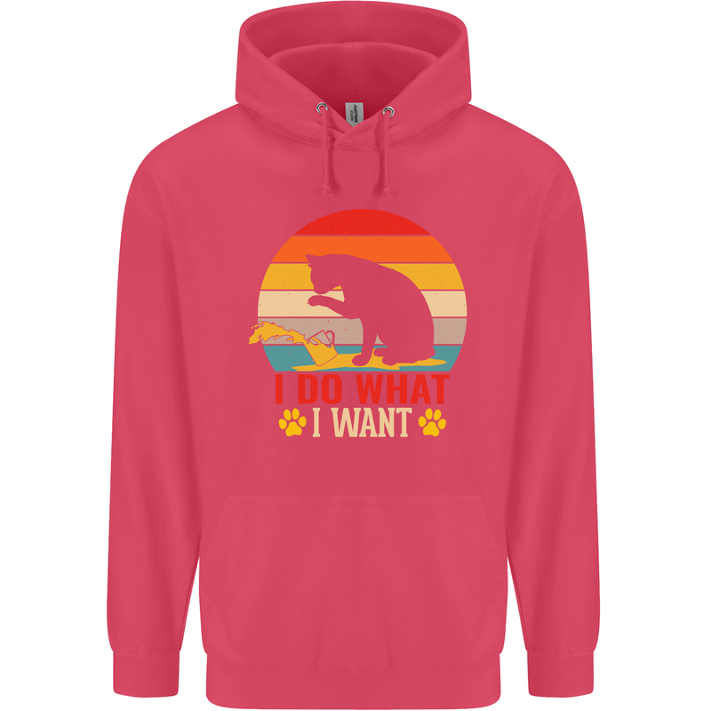 Cat I Do What I Want Funny Kitten Lover Childrens Kids Hoodie Heliconia