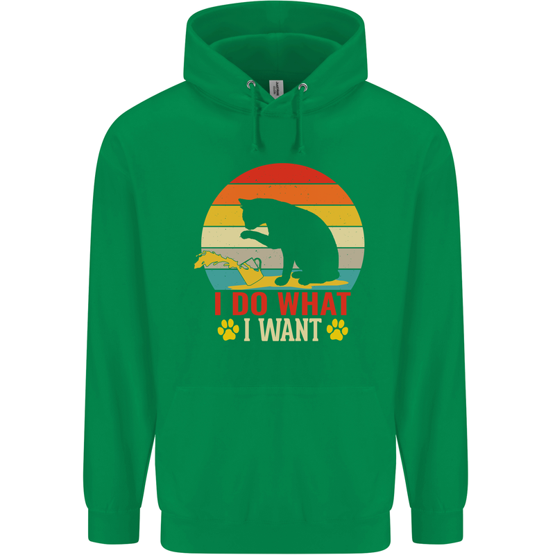 Cat I Do What I Want Funny Kitten Lover Childrens Kids Hoodie Irish Green