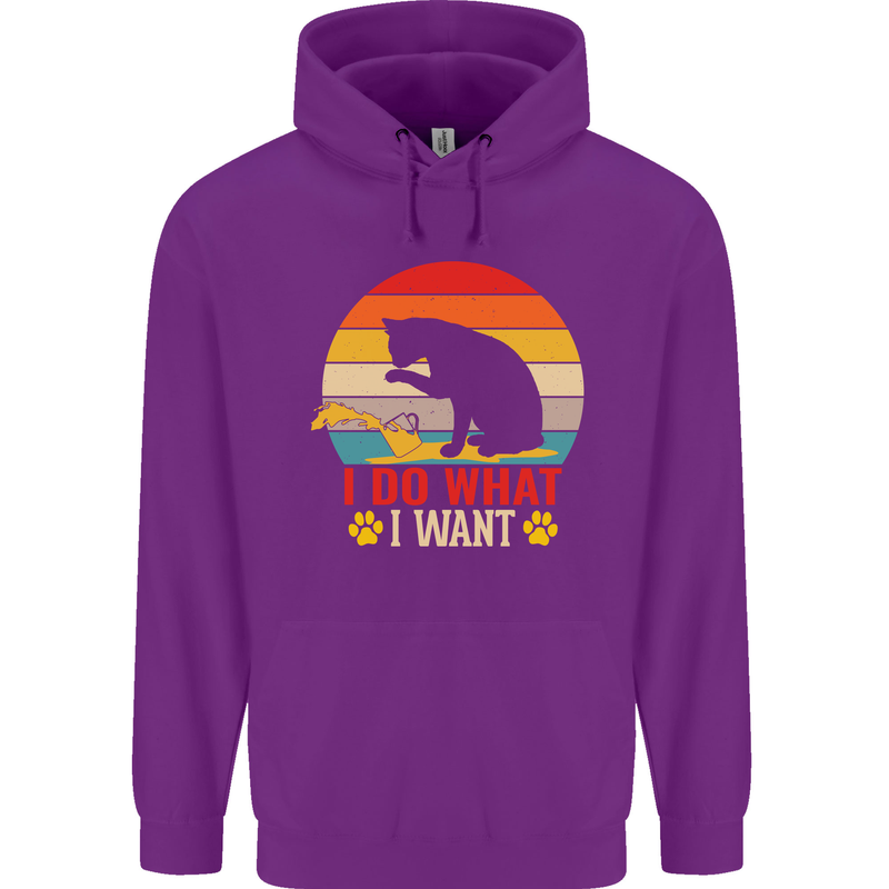 Cat I Do What I Want Funny Kitten Lover Childrens Kids Hoodie Purple