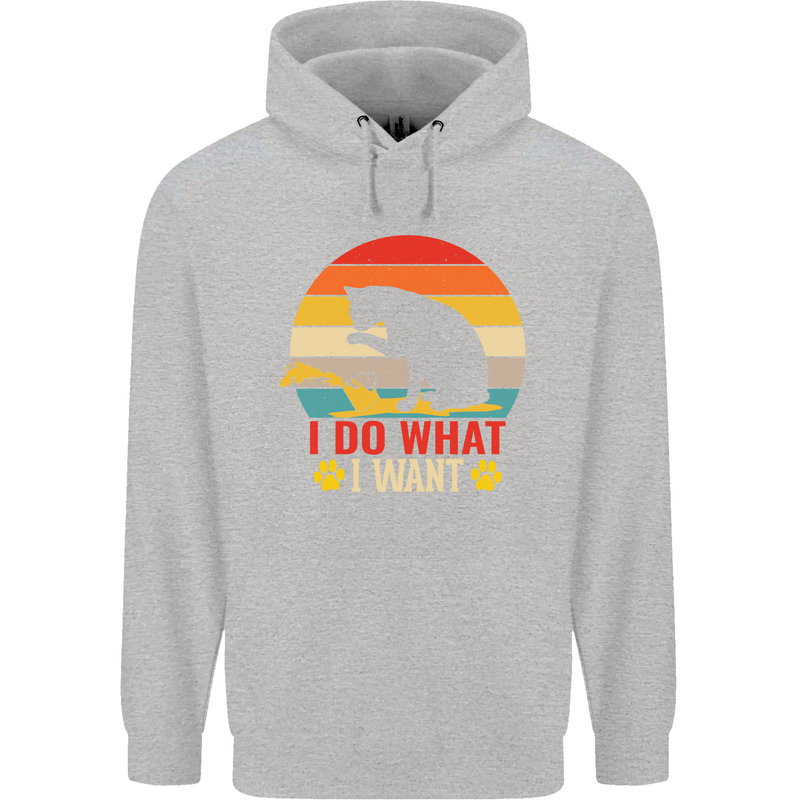 Cat I Do What I Want Funny Kitten Lover Childrens Kids Hoodie Sports Grey