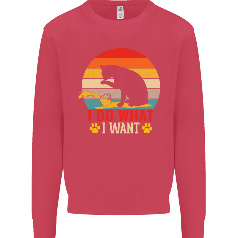 Cat I Do What I Want Funny Kitten Lover Kids Sweatshirt Jumper Heliconia