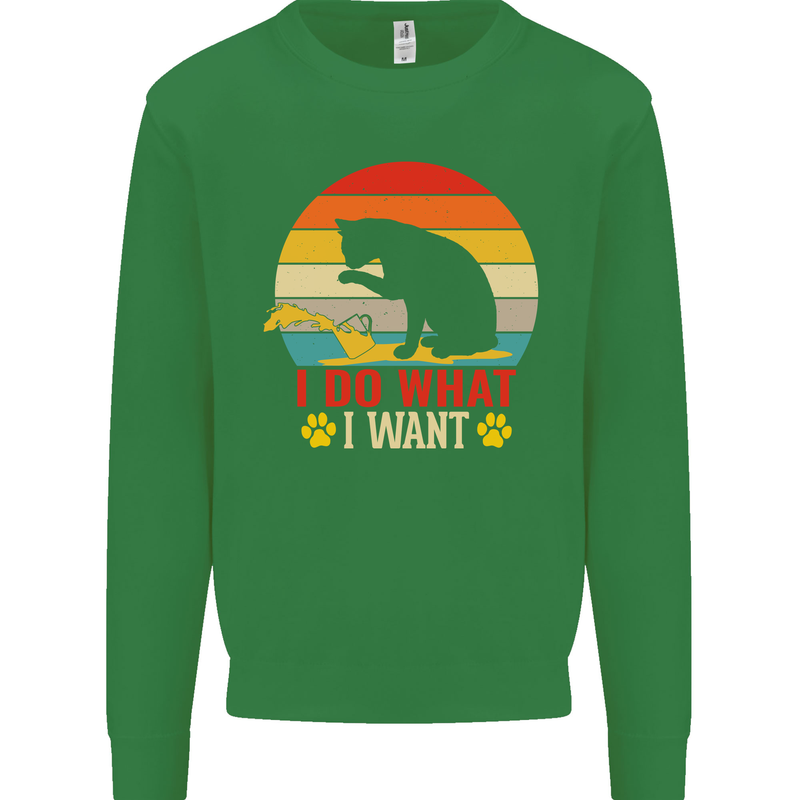Cat I Do What I Want Funny Kitten Lover Kids Sweatshirt Jumper Irish Green