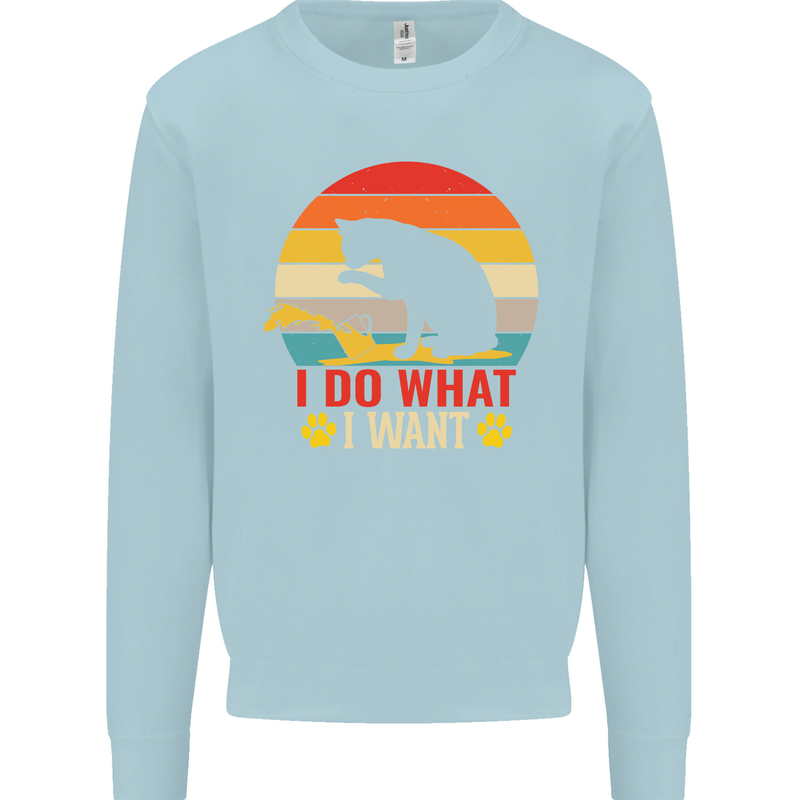Cat I Do What I Want Funny Kitten Lover Kids Sweatshirt Jumper Light Blue