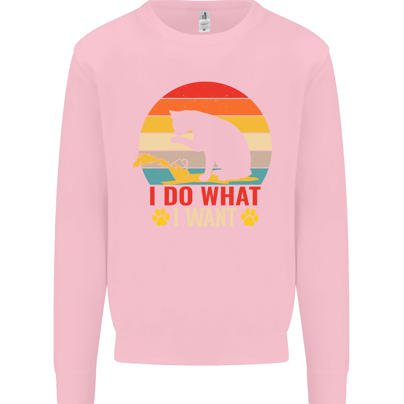 Cat I Do What I Want Funny Kitten Lover Kids Sweatshirt Jumper Light Pink