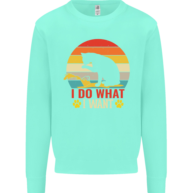 Cat I Do What I Want Funny Kitten Lover Kids Sweatshirt Jumper Peppermint