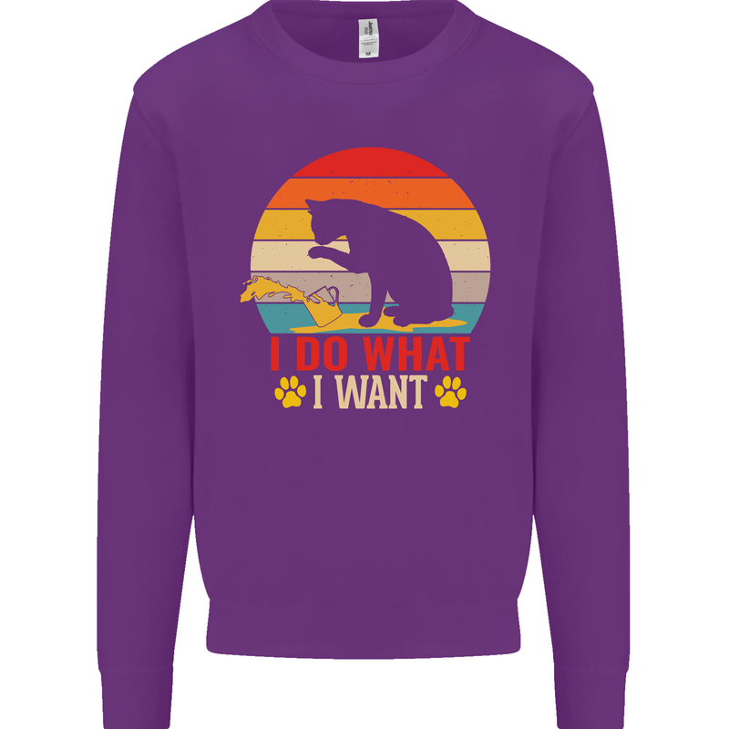 Cat I Do What I Want Funny Kitten Lover Kids Sweatshirt Jumper Purple