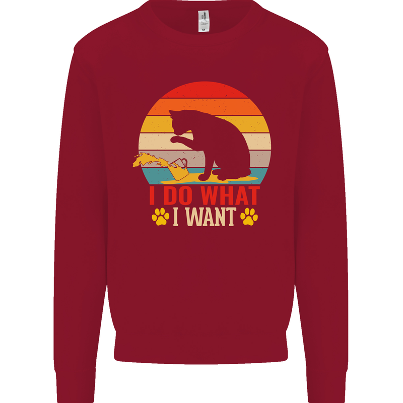 Cat I Do What I Want Funny Kitten Lover Kids Sweatshirt Jumper Red