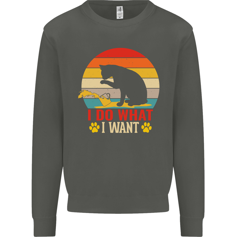 Cat I Do What I Want Funny Kitten Lover Kids Sweatshirt Jumper Storm Grey
