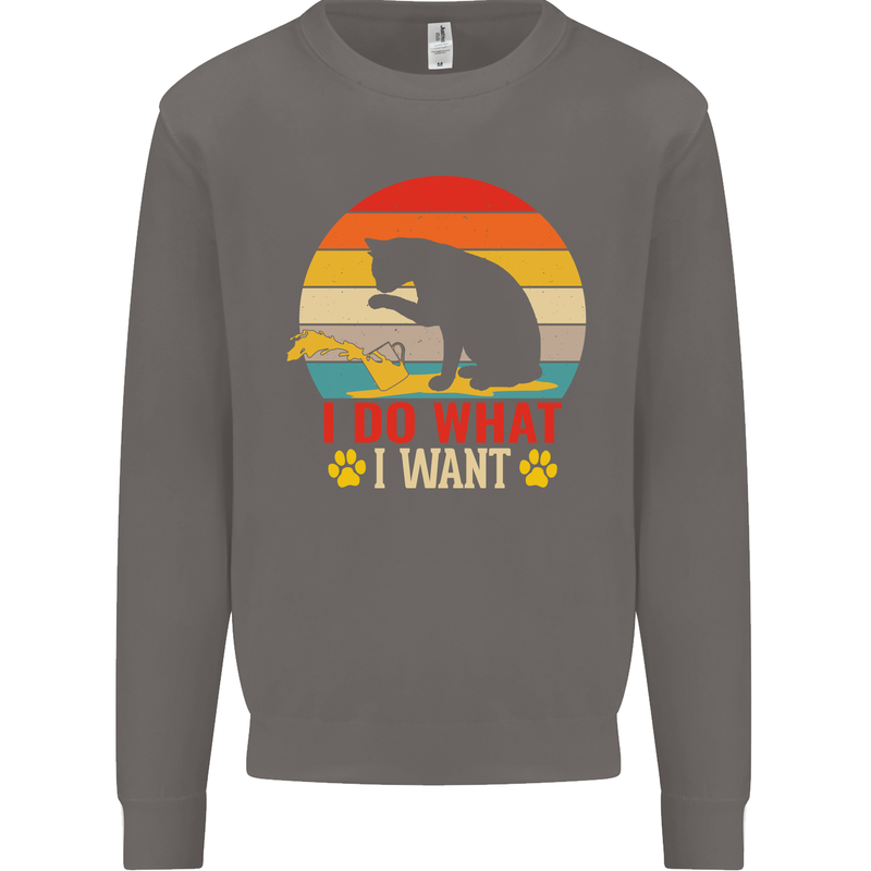 Cat I Do What I Want Funny Kitten Lover Mens Sweatshirt Jumper Charcoal
