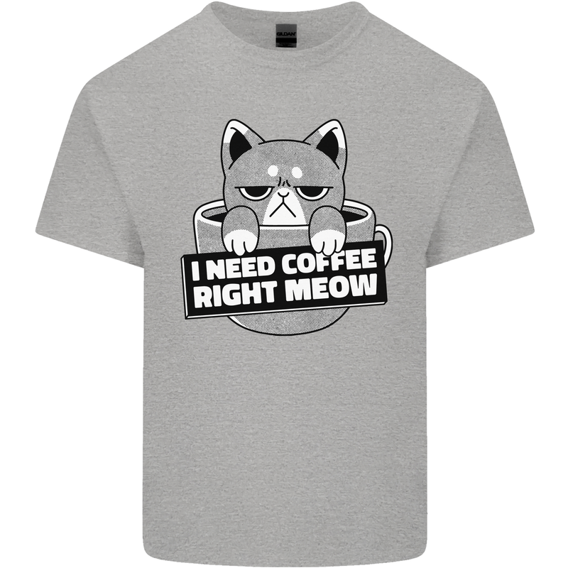 Cat I Need Coffee Right Meow Funny Kids T-Shirt Childrens Sports Grey
