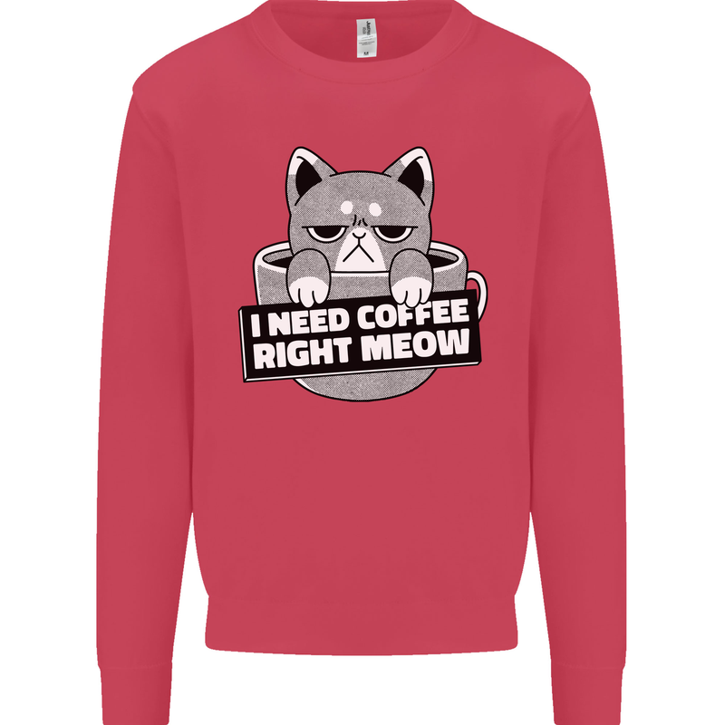 Cat I Need Coffee Right Meow Funny Mens Sweatshirt Jumper Heliconia