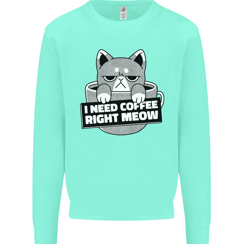 Cat I Need Coffee Right Meow Funny Mens Sweatshirt Jumper Peppermint