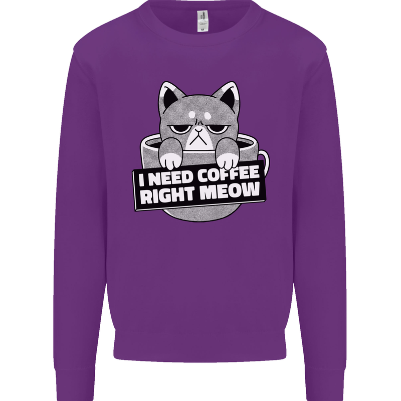 Cat I Need Coffee Right Meow Funny Mens Sweatshirt Jumper Purple
