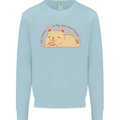 Cat and Pizza Funny Antisocial Mens Sweatshirt Jumper Light Blue