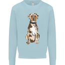 Catahoula Shepherd Dog Kids Sweatshirt Jumper Light Blue