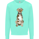 Catahoula Shepherd Dog Kids Sweatshirt Jumper Peppermint