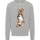 Catahoula Shepherd Dog Kids Sweatshirt Jumper Sports Grey