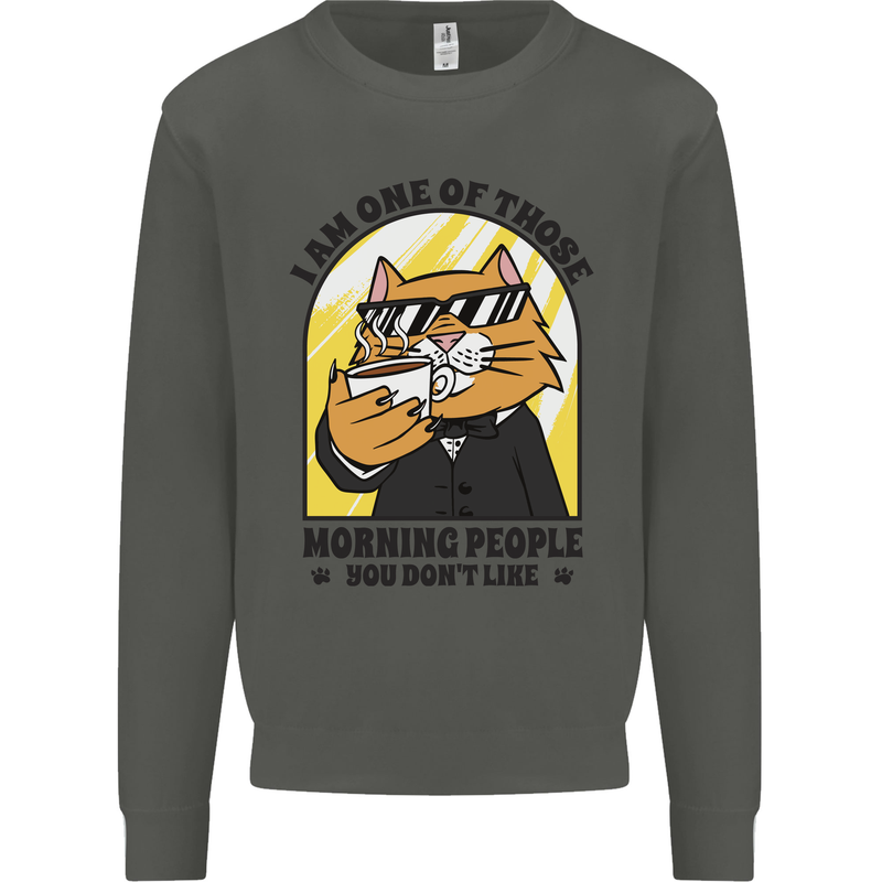 Cats I'm One of Those Morning People Funny Kids Sweatshirt Jumper Storm Grey