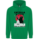 Catzilla Funny Cat Parody Childrens Kids Hoodie Irish Green