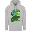 Chameleoff Chameleon Funny Off On Childrens Kids Hoodie Sports Grey