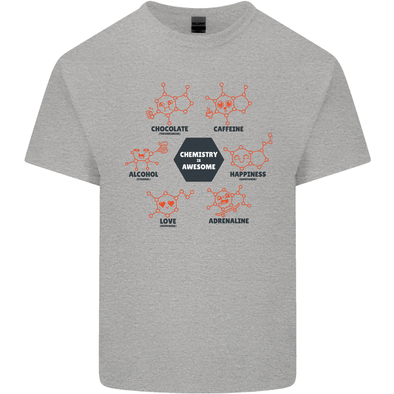 Chemistry is Awesome Alcohol Chocolate Love Kids T-Shirt Childrens Sports Grey
