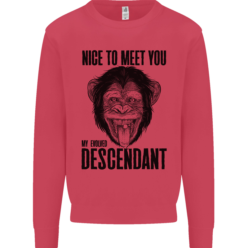 Chimp Evolved Dessendant Funny Monkey Ape Kids Sweatshirt Jumper Heliconia