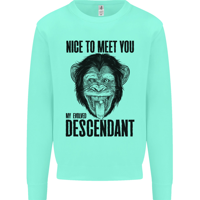 Chimp Evolved Dessendant Funny Monkey Ape Kids Sweatshirt Jumper Peppermint
