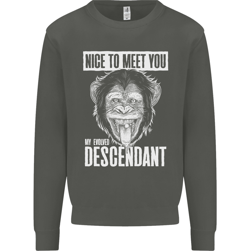 Chimp Evolved Dessendant Funny Monkey Ape Kids Sweatshirt Jumper Storm Grey