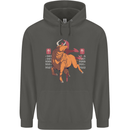Chinese Zodiac Shengxiao Year of the Ox Childrens Kids Hoodie Storm Grey