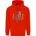 Chinese Zodiac Shengxiao Year of the Pig Childrens Kids Hoodie Bright Red