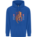 Chinese Zodiac Shengxiao Year of the Pig Childrens Kids Hoodie Royal Blue