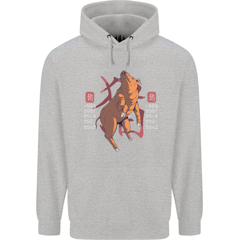 Chinese Zodiac Shengxiao Year of the Pig Childrens Kids Hoodie Sports Grey