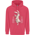 Chinese Zodiac Shengxiao Year of the Rabbit Childrens Kids Hoodie Heliconia