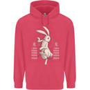 Chinese Zodiac Shengxiao Year of the Rabbit Childrens Kids Hoodie Heliconia