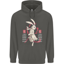 Chinese Zodiac Shengxiao Year of the Rabbit Childrens Kids Hoodie Storm Grey