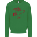Chinese Zodiac Shengxiao Year of the Rat Kids Sweatshirt Jumper Irish Green