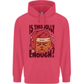 Christmas Cat Is This Jolly Enough Funny Childrens Kids Hoodie Heliconia