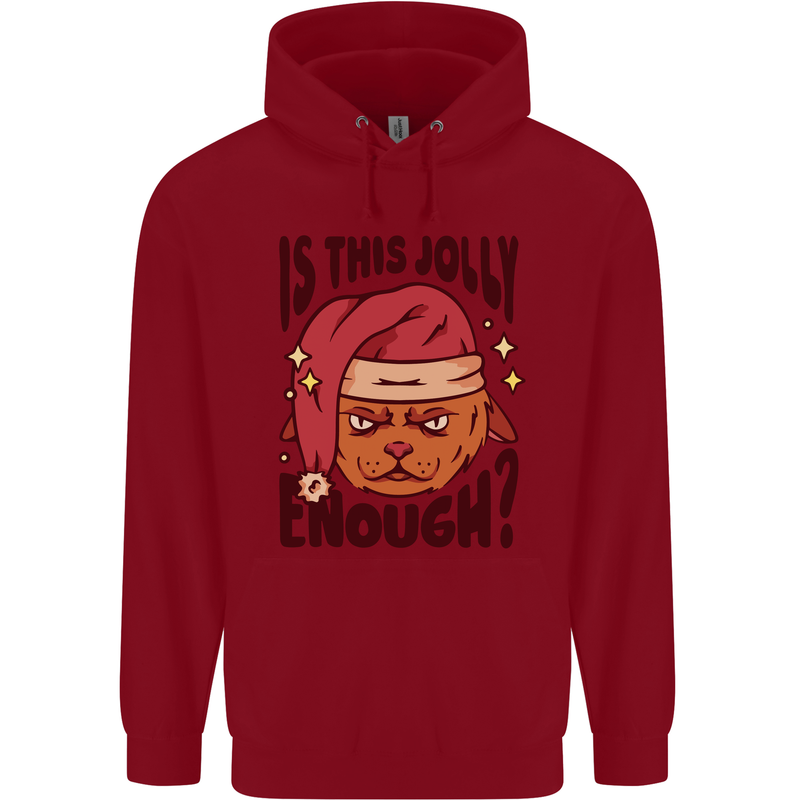 Christmas Cat Is This Jolly Enough Funny Childrens Kids Hoodie Red