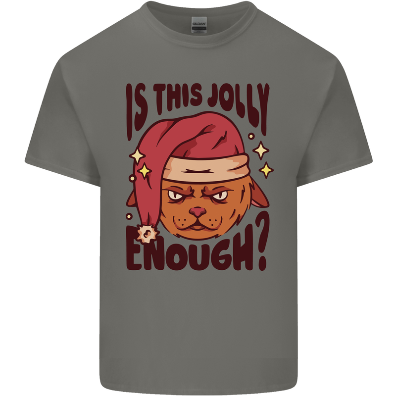 Christmas Cat Is This Jolly Enough Funny Kids T-Shirt Childrens Charcoal