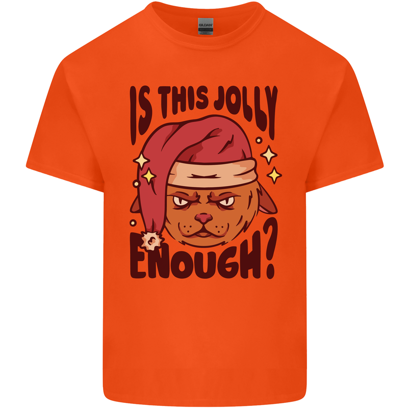 Christmas Cat Is This Jolly Enough Funny Kids T-Shirt Childrens Orange