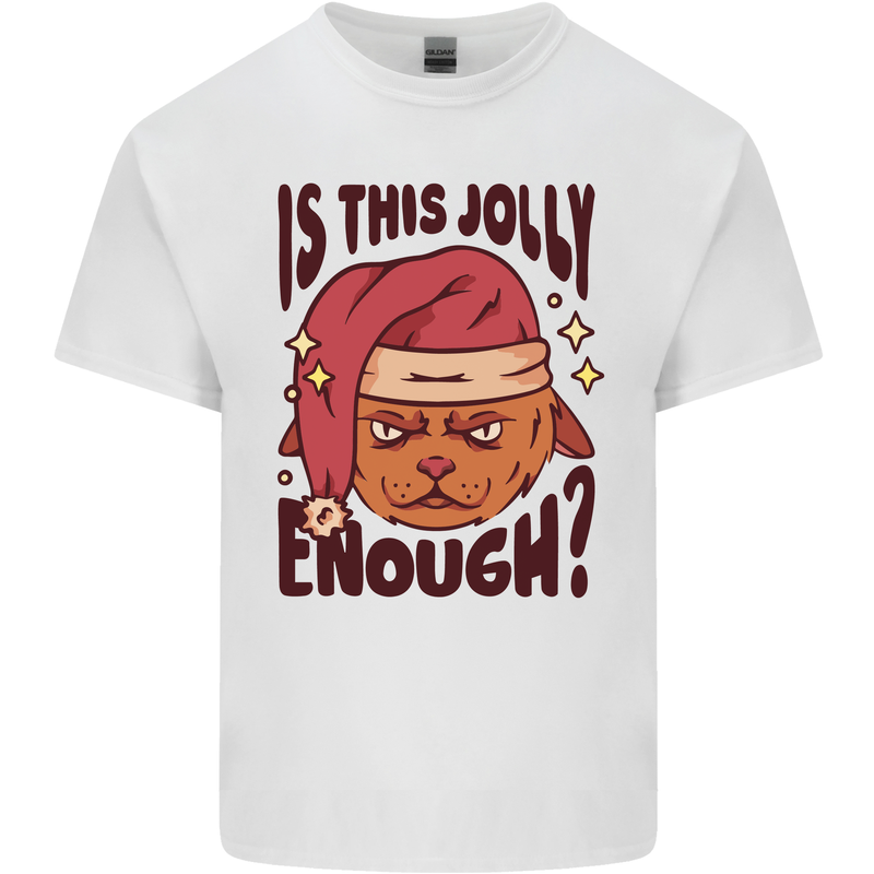 Christmas Cat Is This Jolly Enough Funny Kids T-Shirt Childrens White