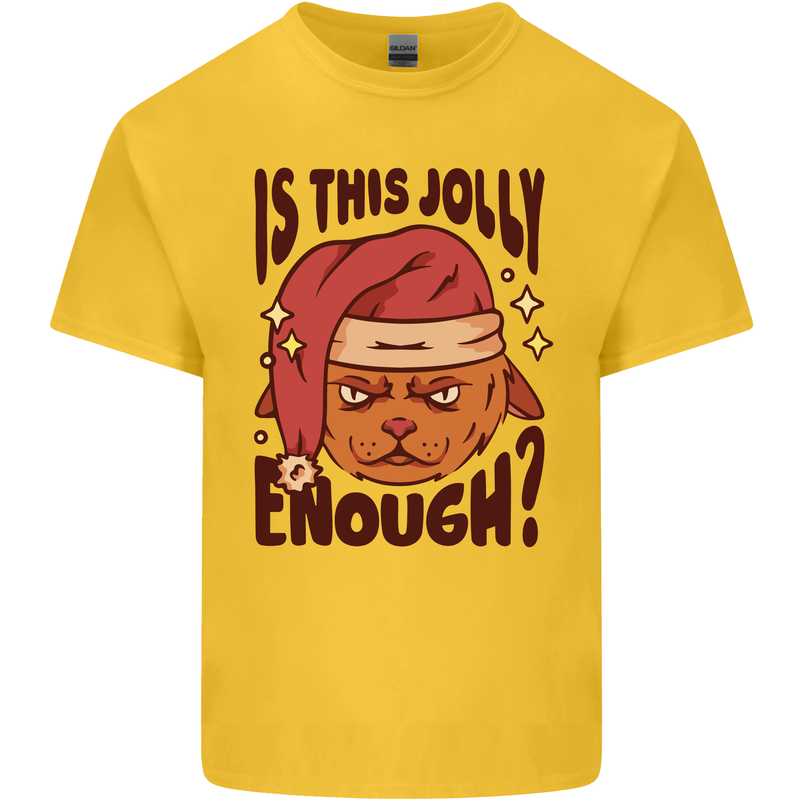 Christmas Cat Is This Jolly Enough Funny Kids T-Shirt Childrens Yellow
