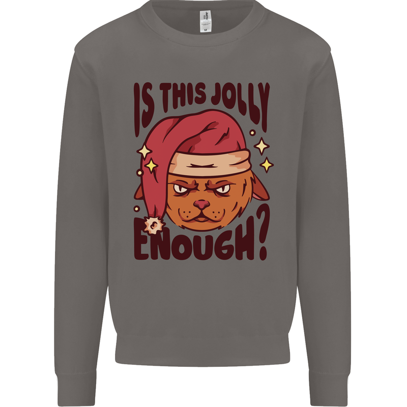 Christmas Cat Is This Jolly Enough Funny Mens Sweatshirt Jumper Charcoal