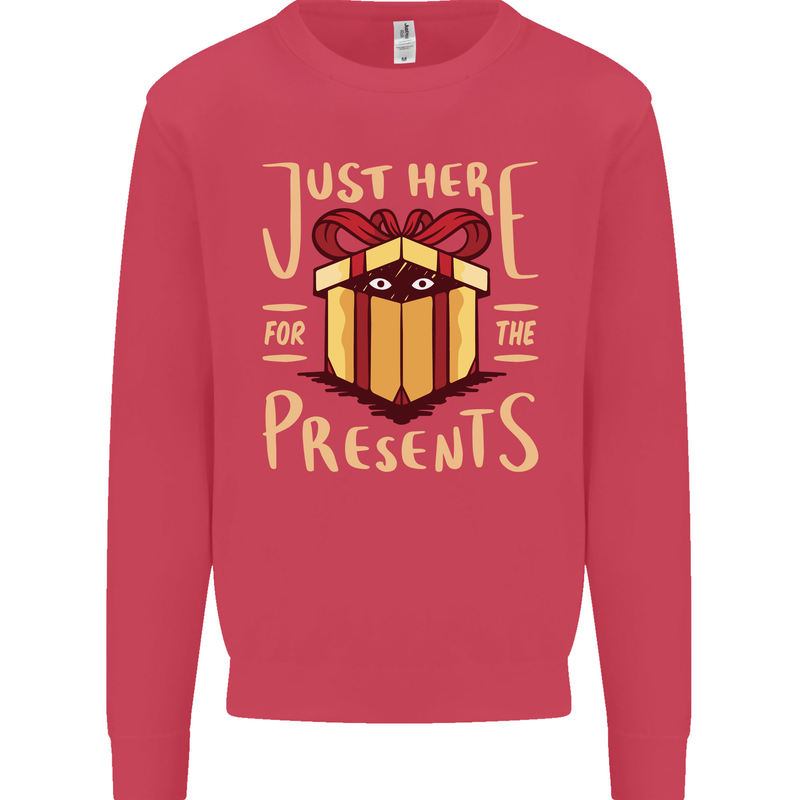 Christmas Just Here For the Presents Funny Kids Sweatshirt Jumper Heliconia